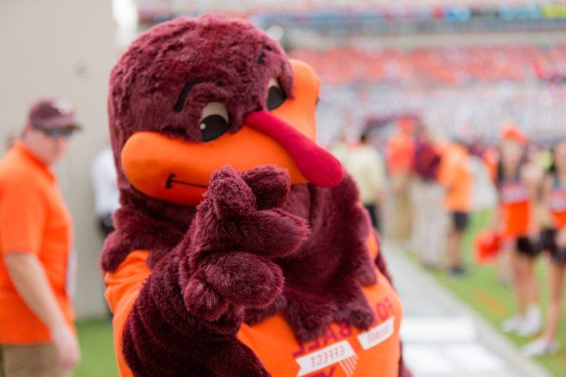 首页coming Hokie Bird